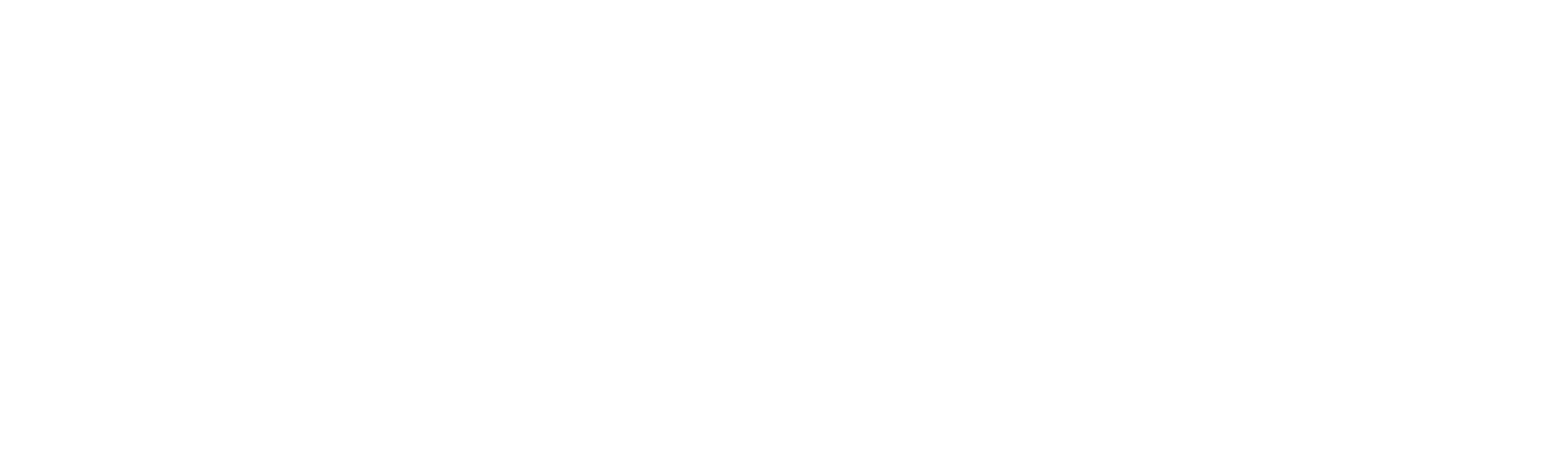 Логотип ALEKS HOME